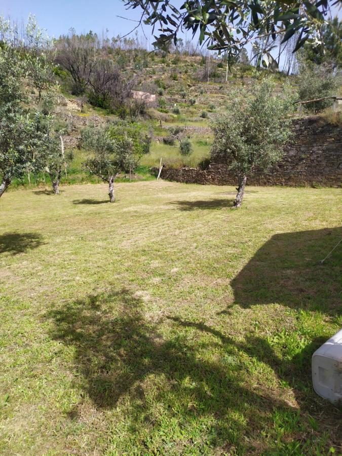 مبيت وإفطار Figueiredo  Casa Wiandeha المظهر الخارجي الصورة