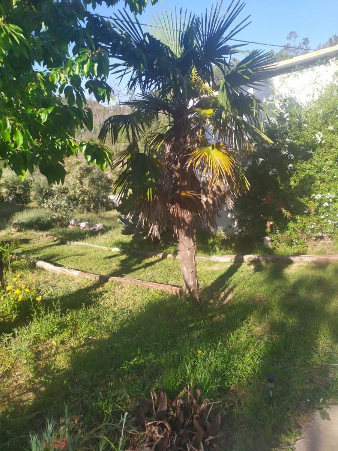 مبيت وإفطار Figueiredo  Casa Wiandeha المظهر الخارجي الصورة